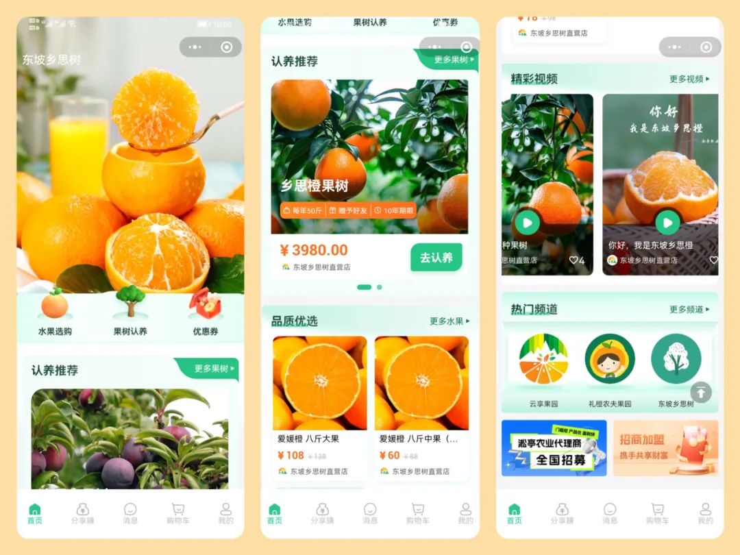 认养一棵树，陪伴你十年 | 多享有数如何助力乡村振兴“果树认养”新模式？(图12)
