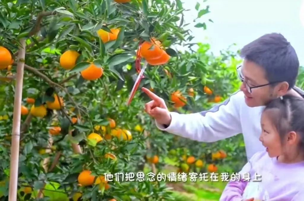 认养一棵树，陪伴你十年 | 多享有数如何助力乡村振兴“果树认养”新模式？(图18)